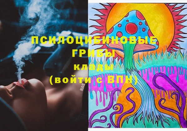 гидропоника Алексин