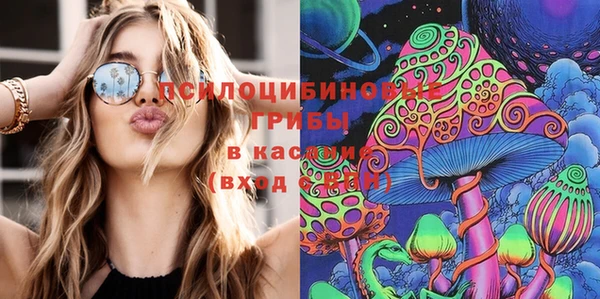 метадон Алзамай