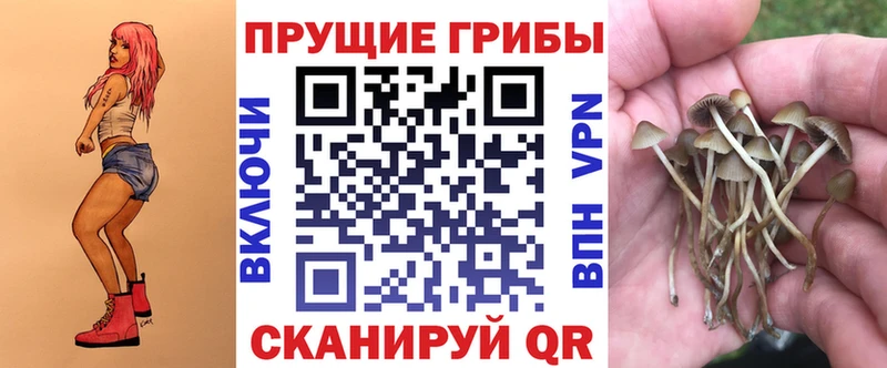 сколько стоит  Апрелевка  Галлюциногенные грибы мицелий 